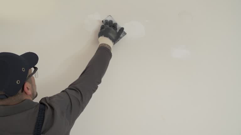 Best Repainting for Renovations  in Roselawn, IN